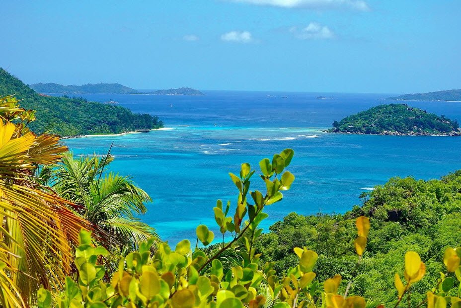 Fond Ferdinand Nature Reserve, Praslin Island, Seychelles